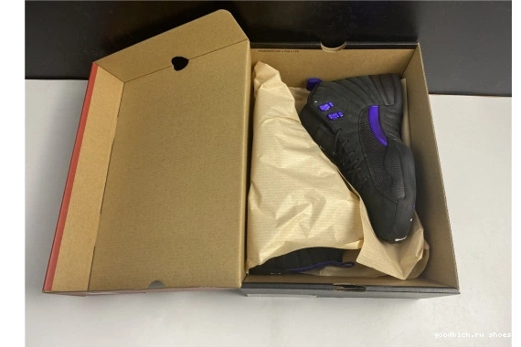 Jordan Concord Air CT8013-005 Retro 12 Black CT8013-005 Dark 0520